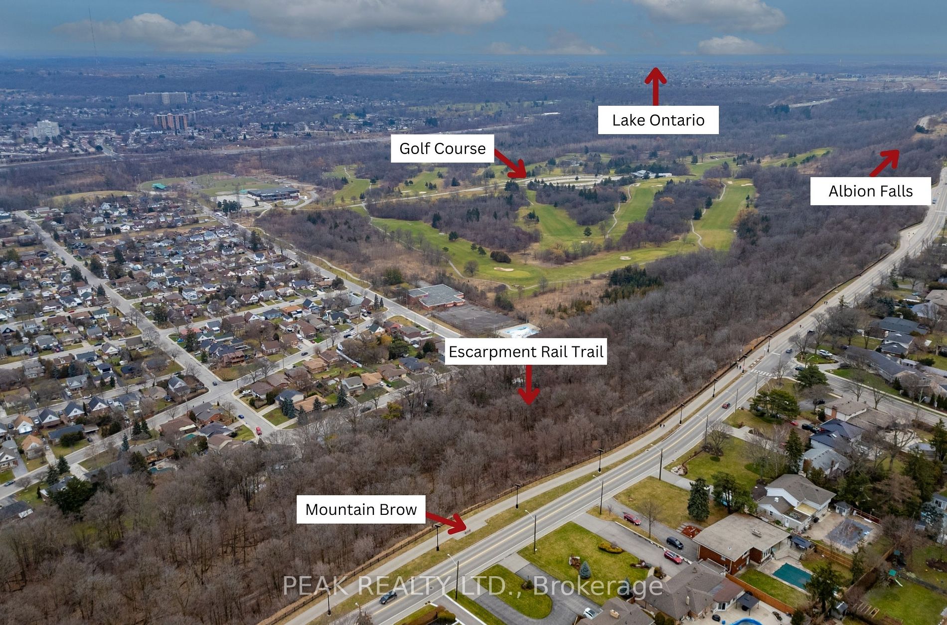 50 Edgewood Ave
