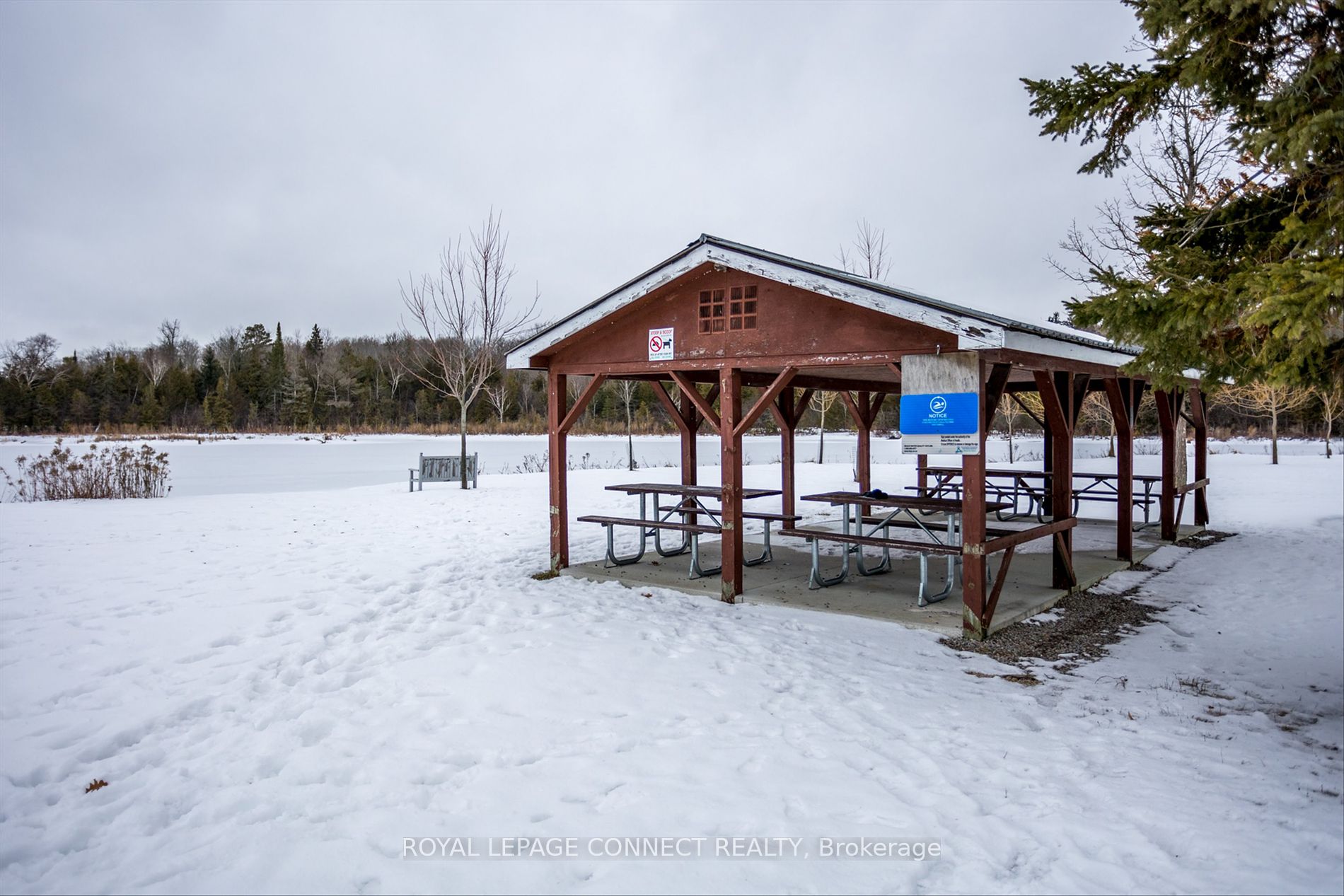 17 Lakewood Crescent #32