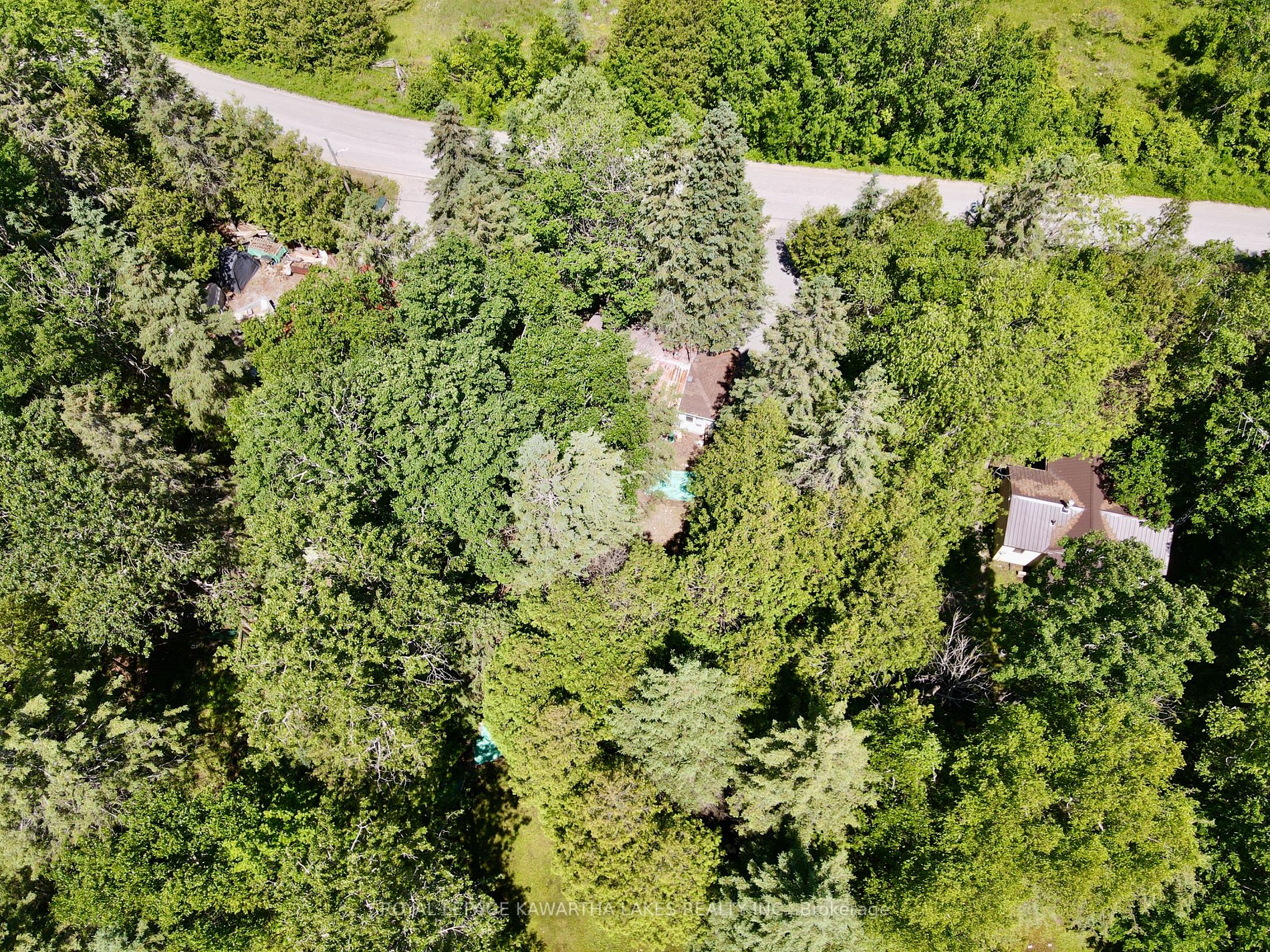 81 McGuire Beach Road