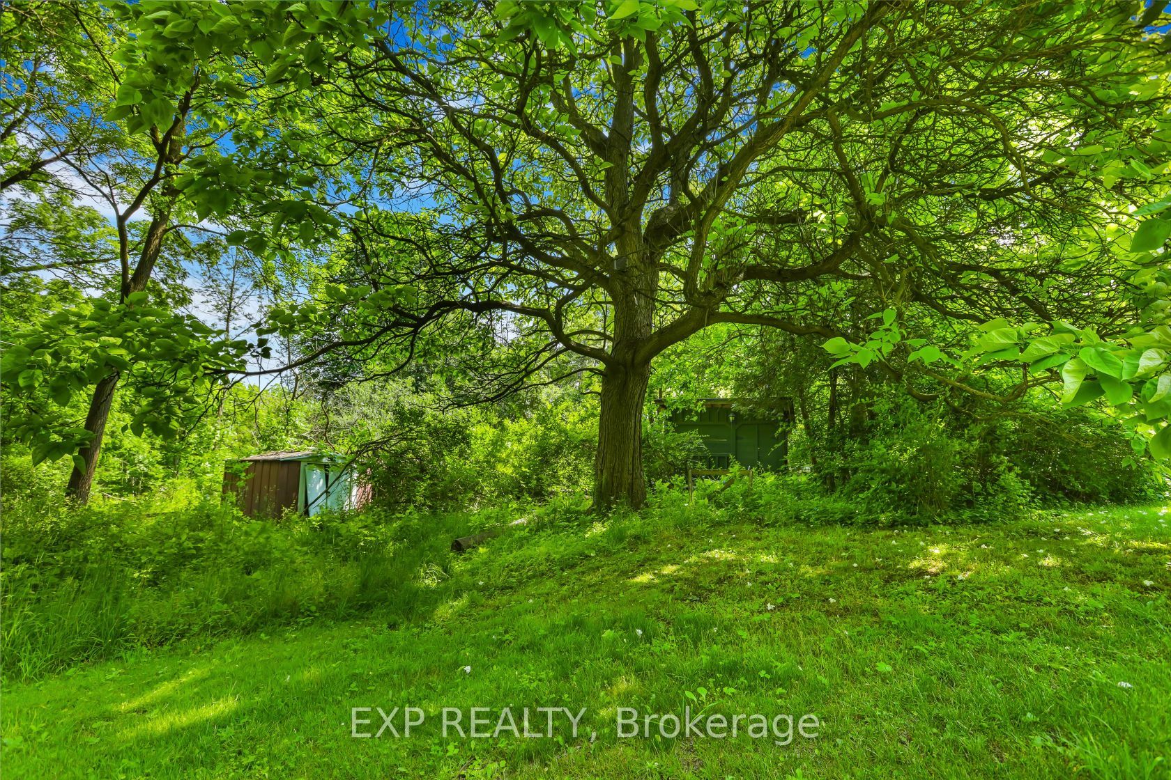 671 Lions Club Road