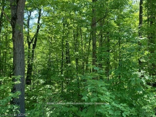 Lot 31 River Heights Road