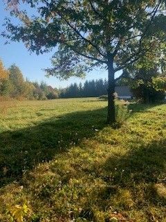 473541 County  Rd 11 Road