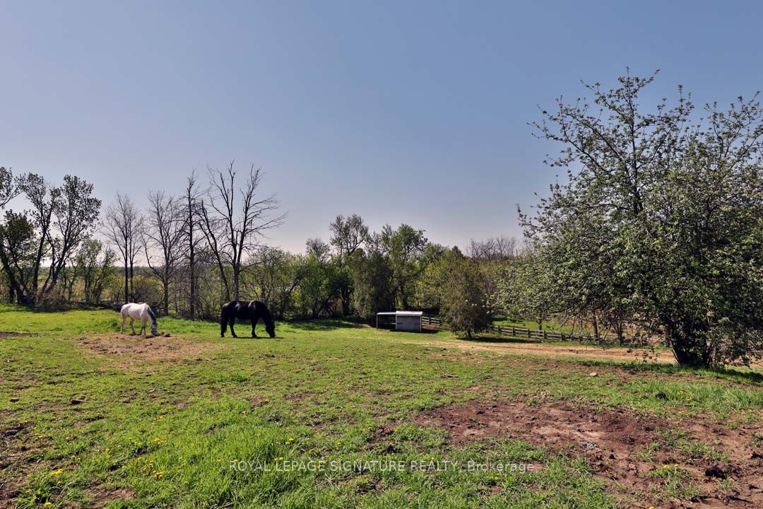 1694 Centre Rd