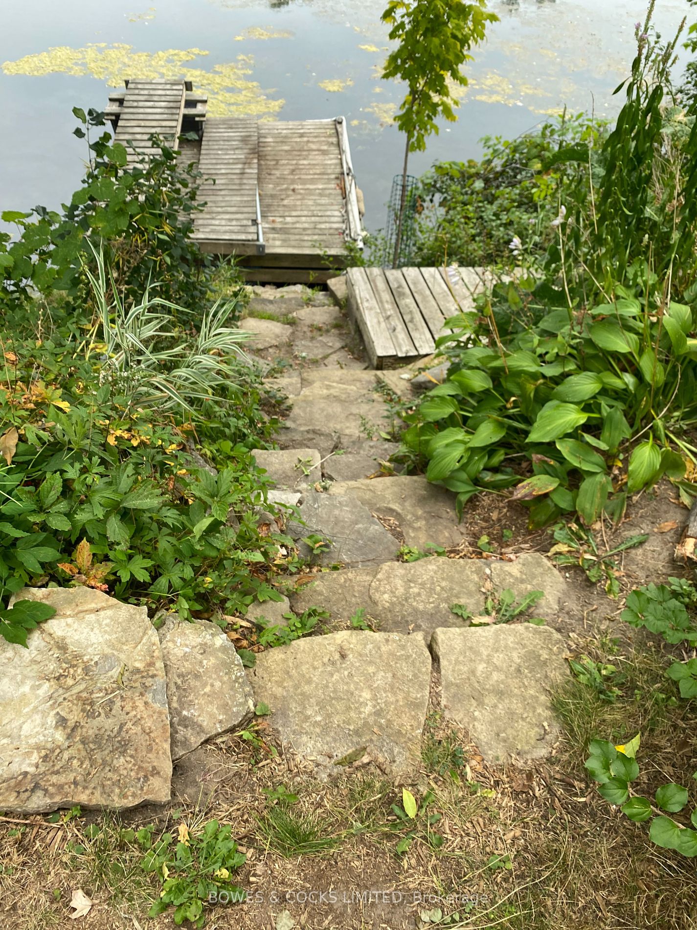 509 Riverside Drive