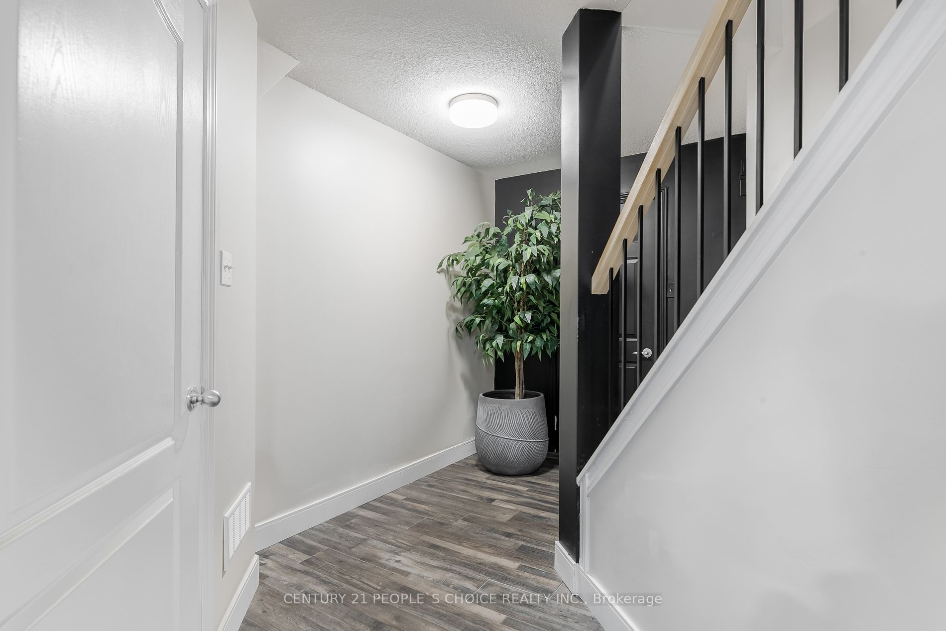 52 Grey Oak Drive