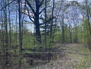 31 Glen Ridge Road