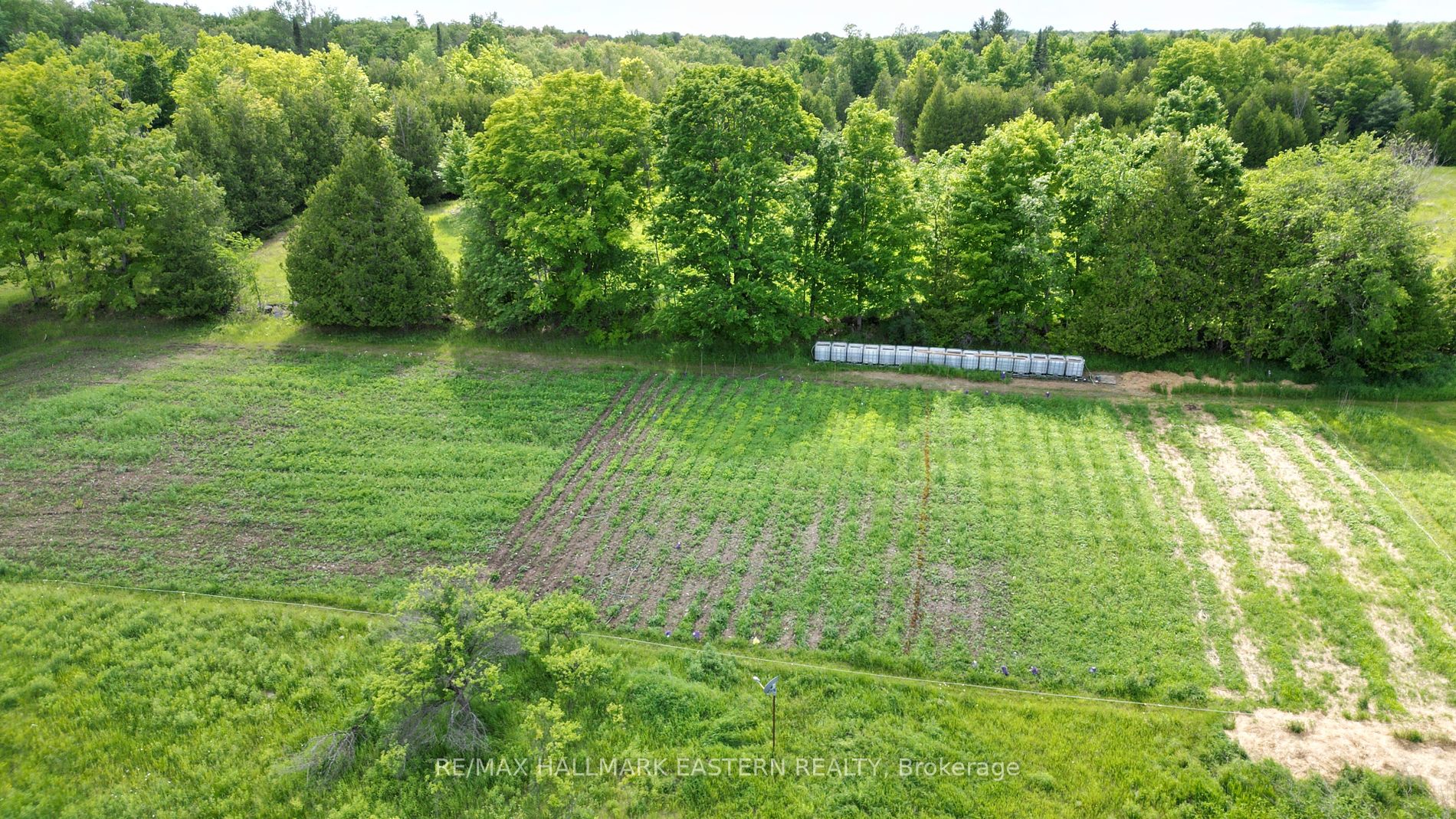 4291 County Road 44