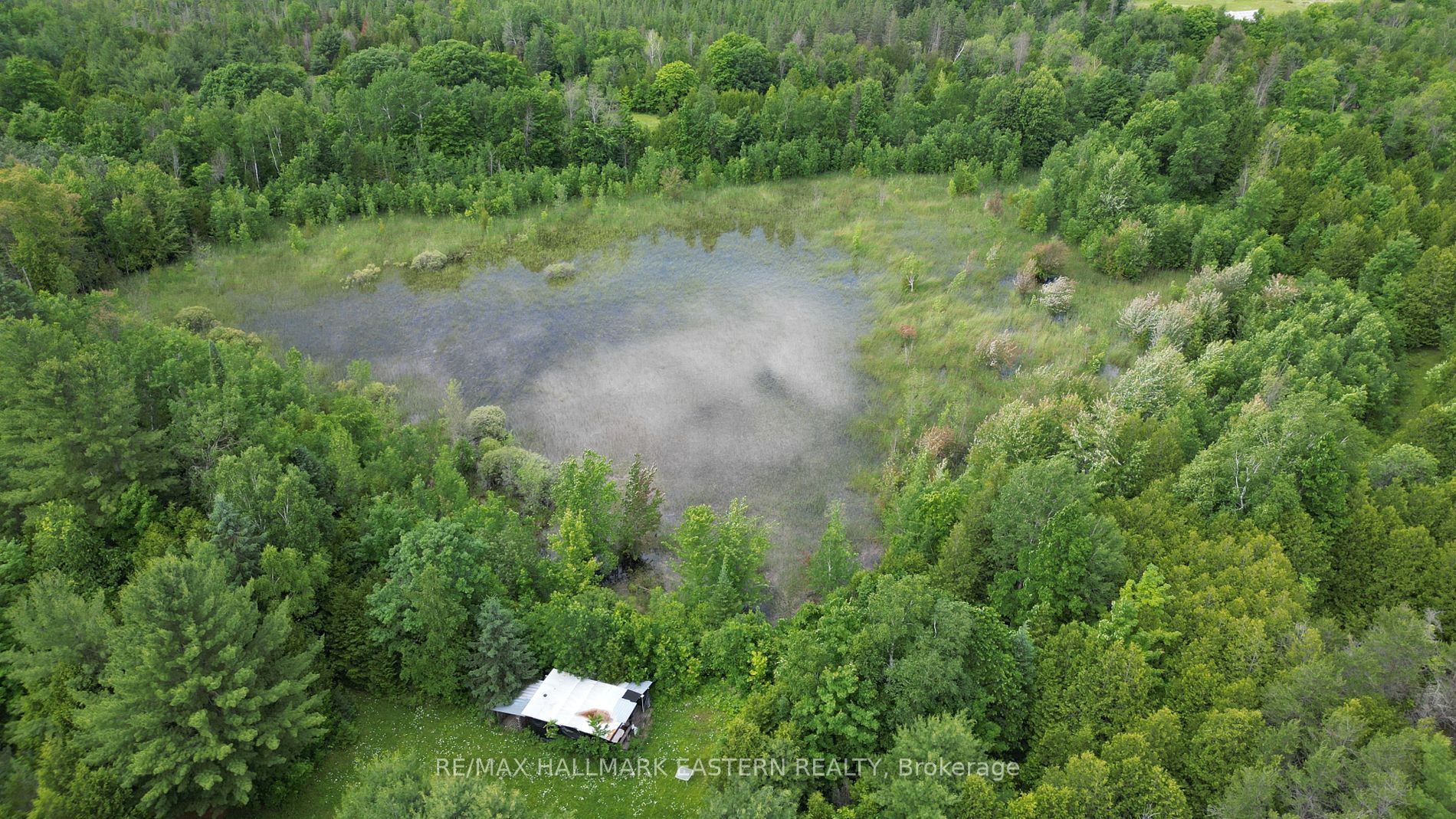 4291 County Road 44