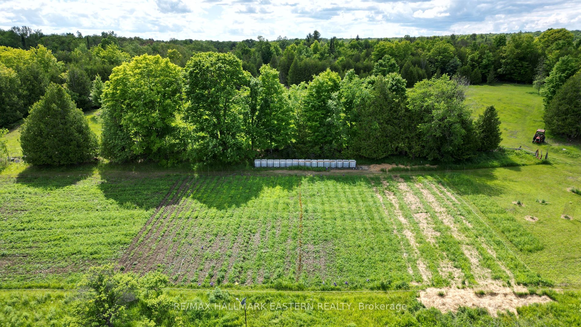4291 County Road 44