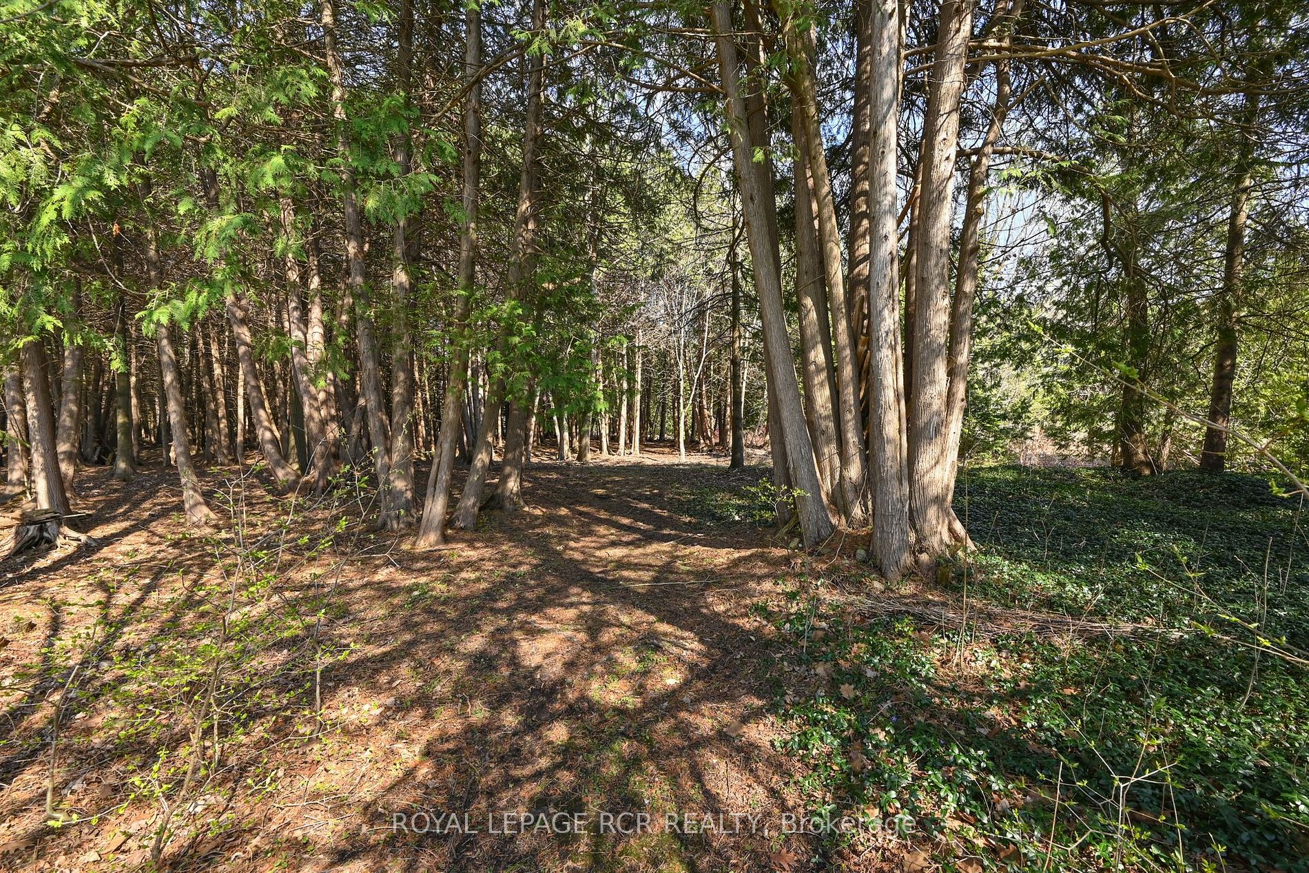 307466 Hockley Road
