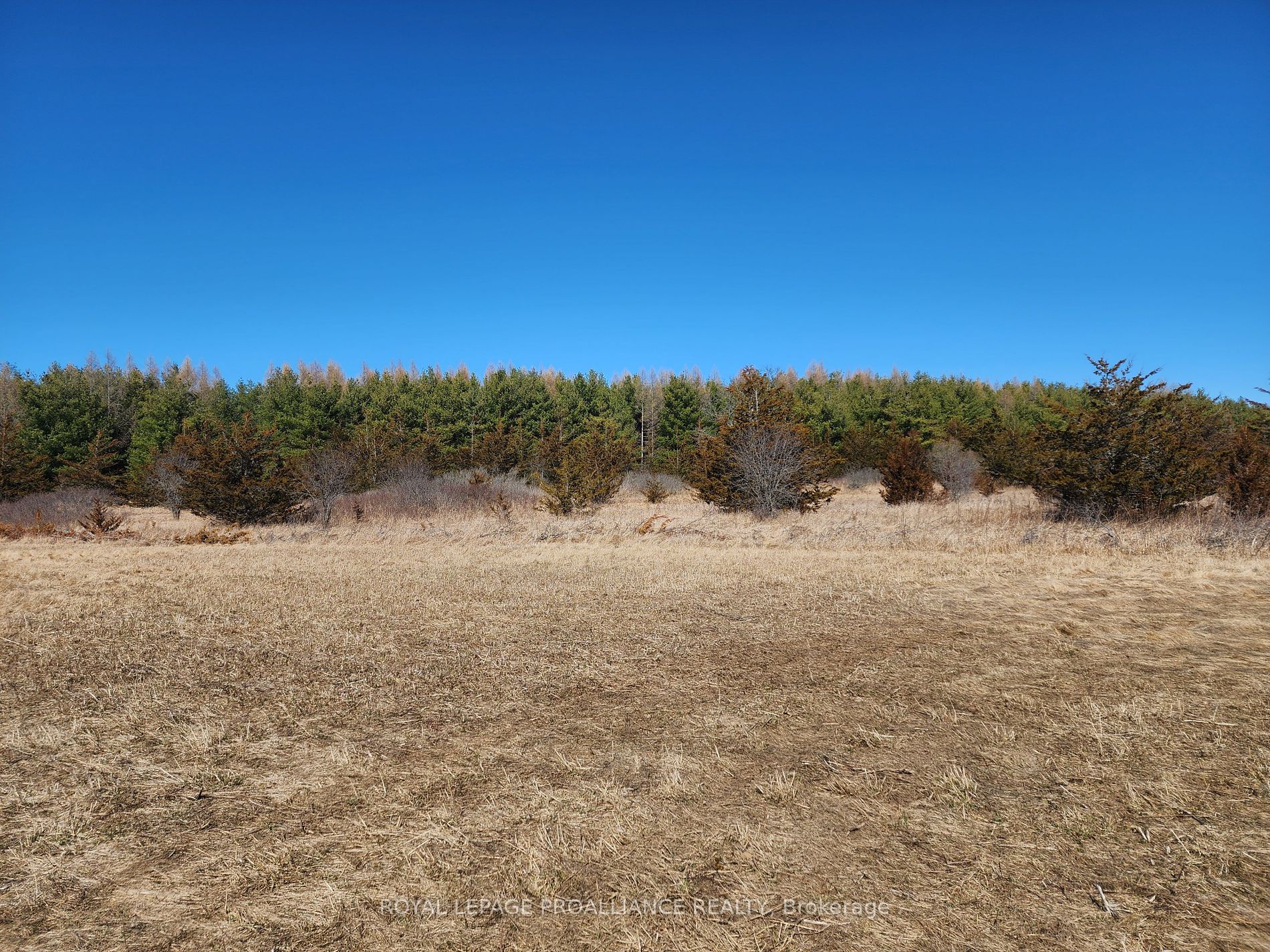 2034 County Road 5 Road