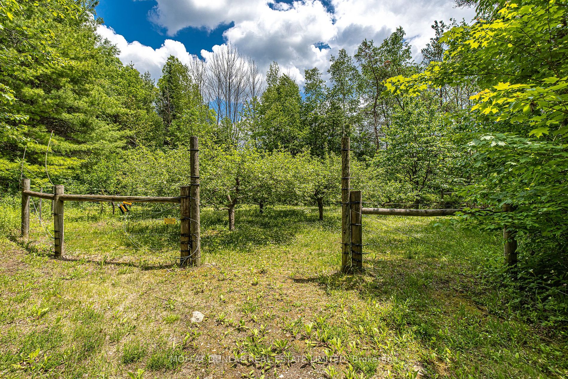 794071 3rd Line