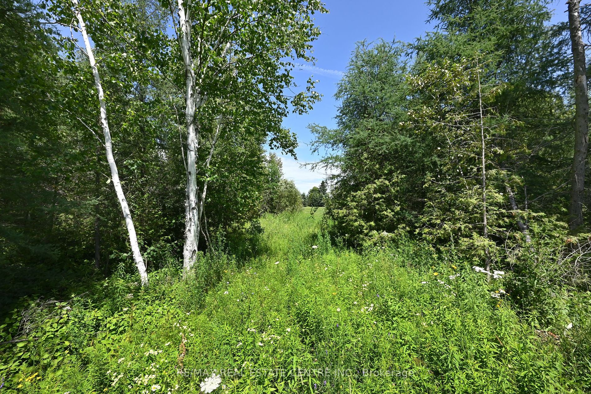 375753 Sixth Line