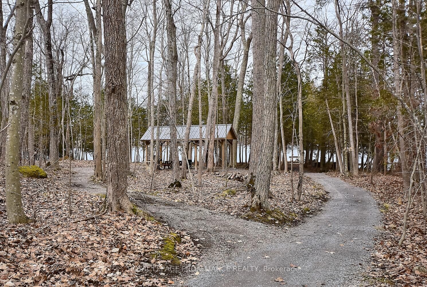28 Woodlawn Drive