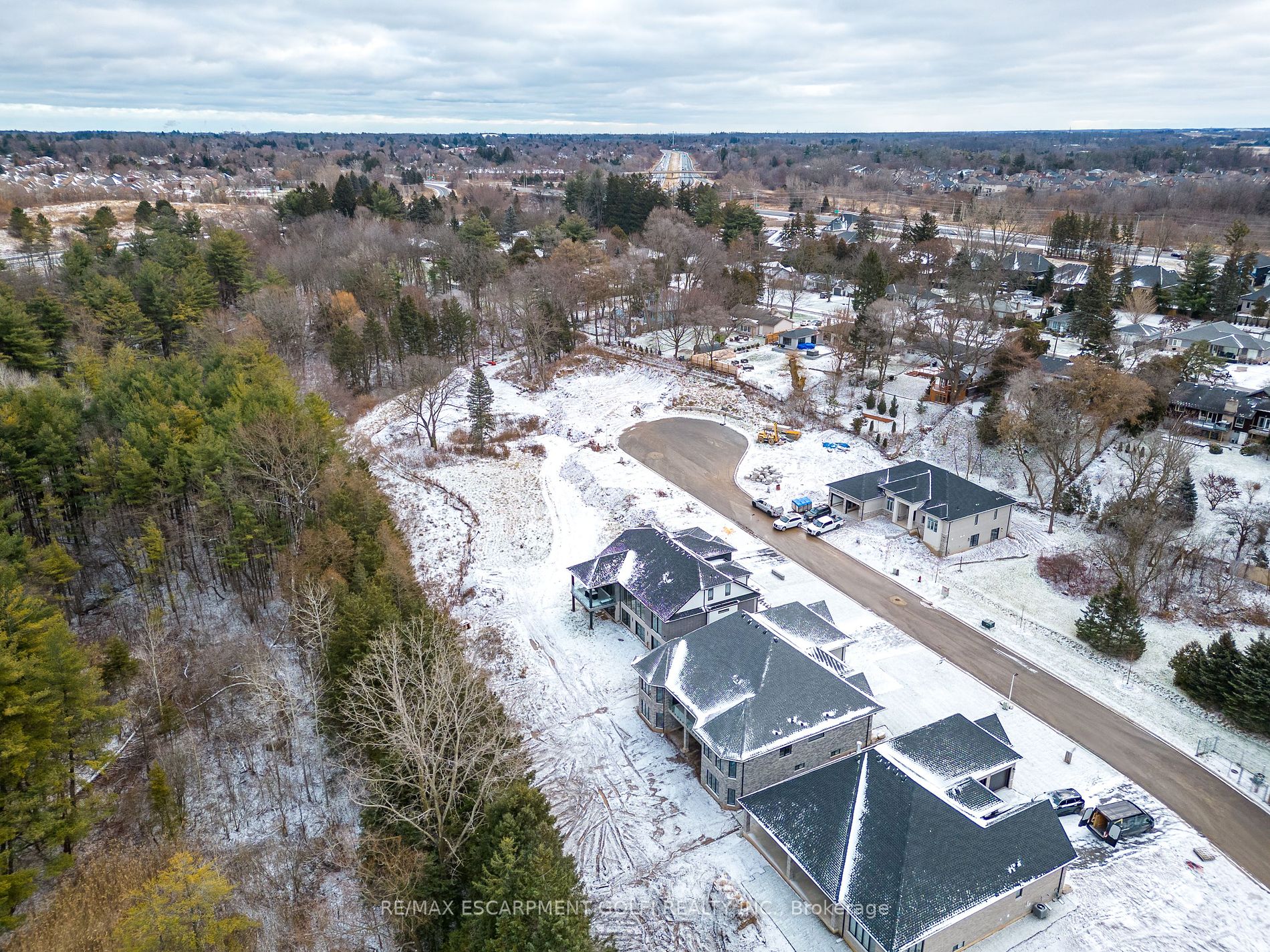 11 Black Willow Crt