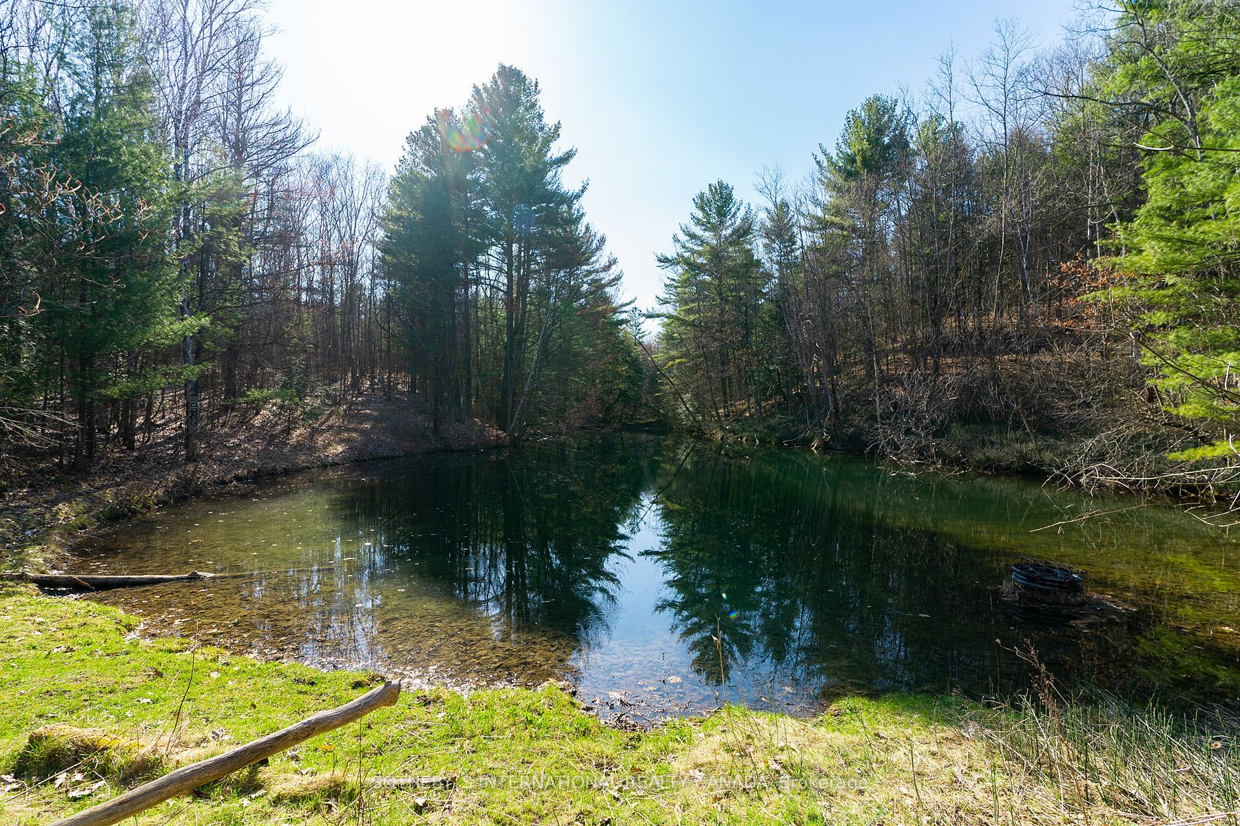 4556 Eagleson Line