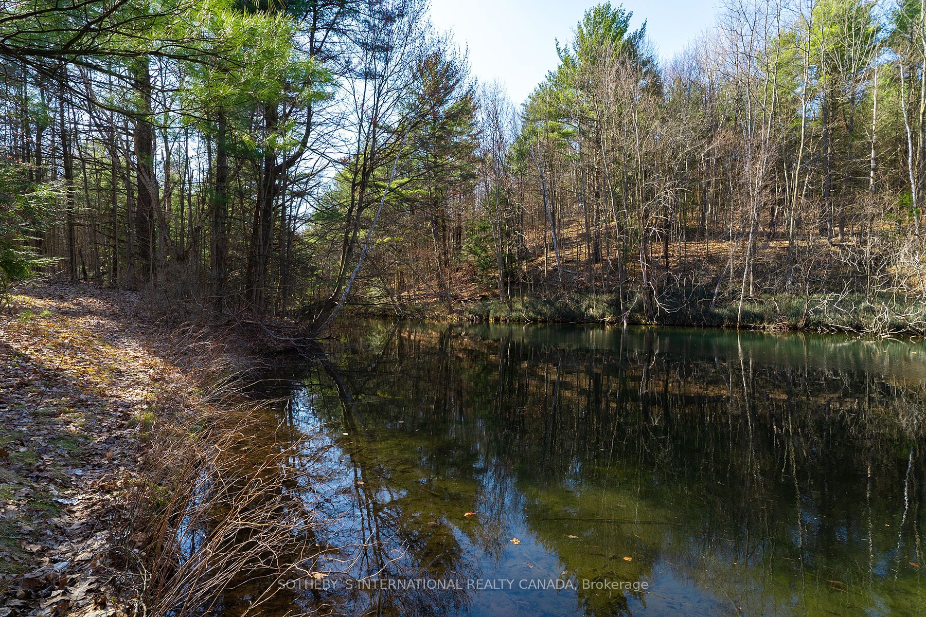 4556 Eagleson Line