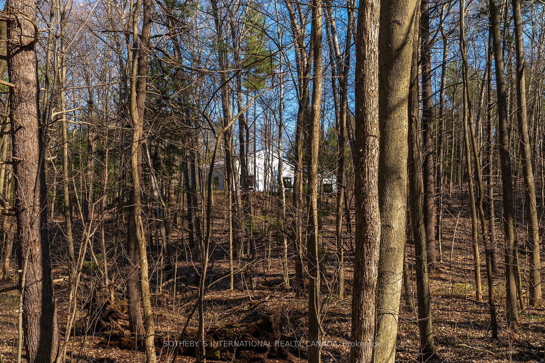 4556 Eagleson Line