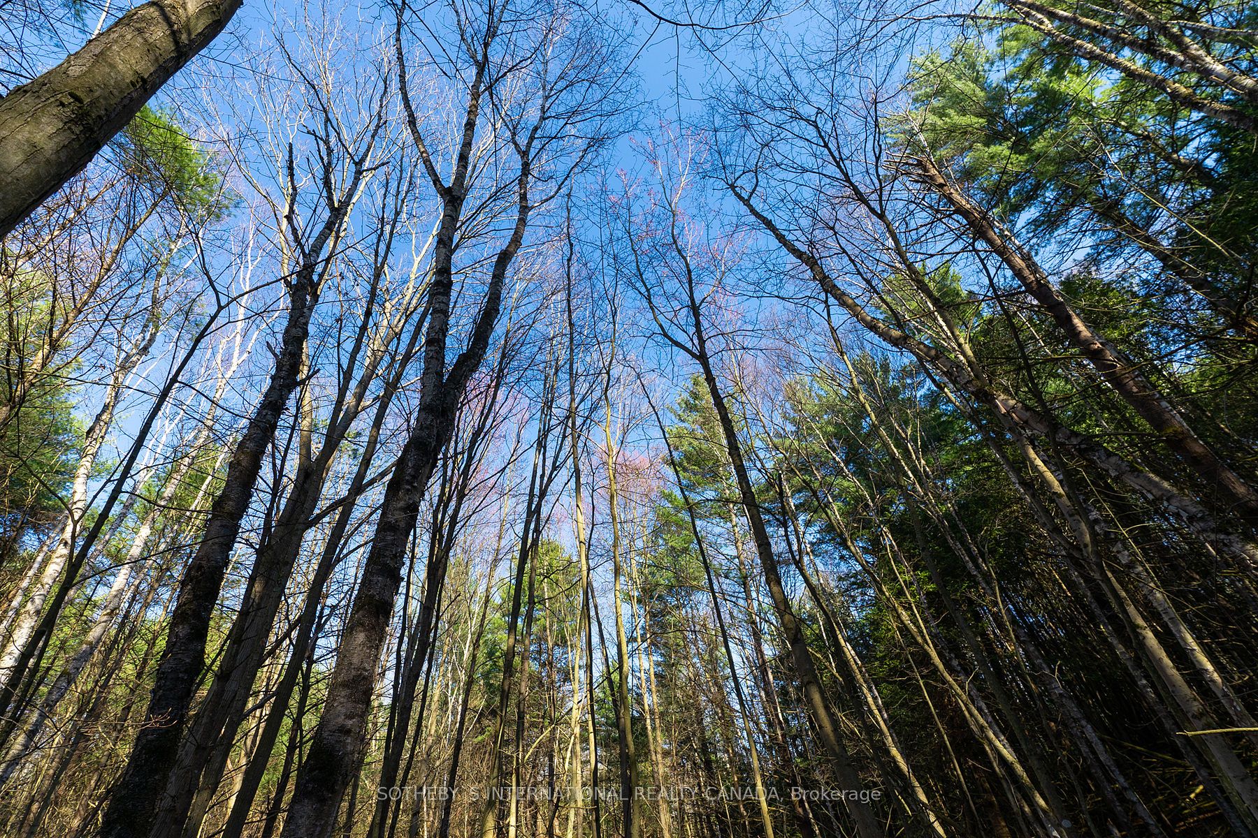 4556 Eagleson Line