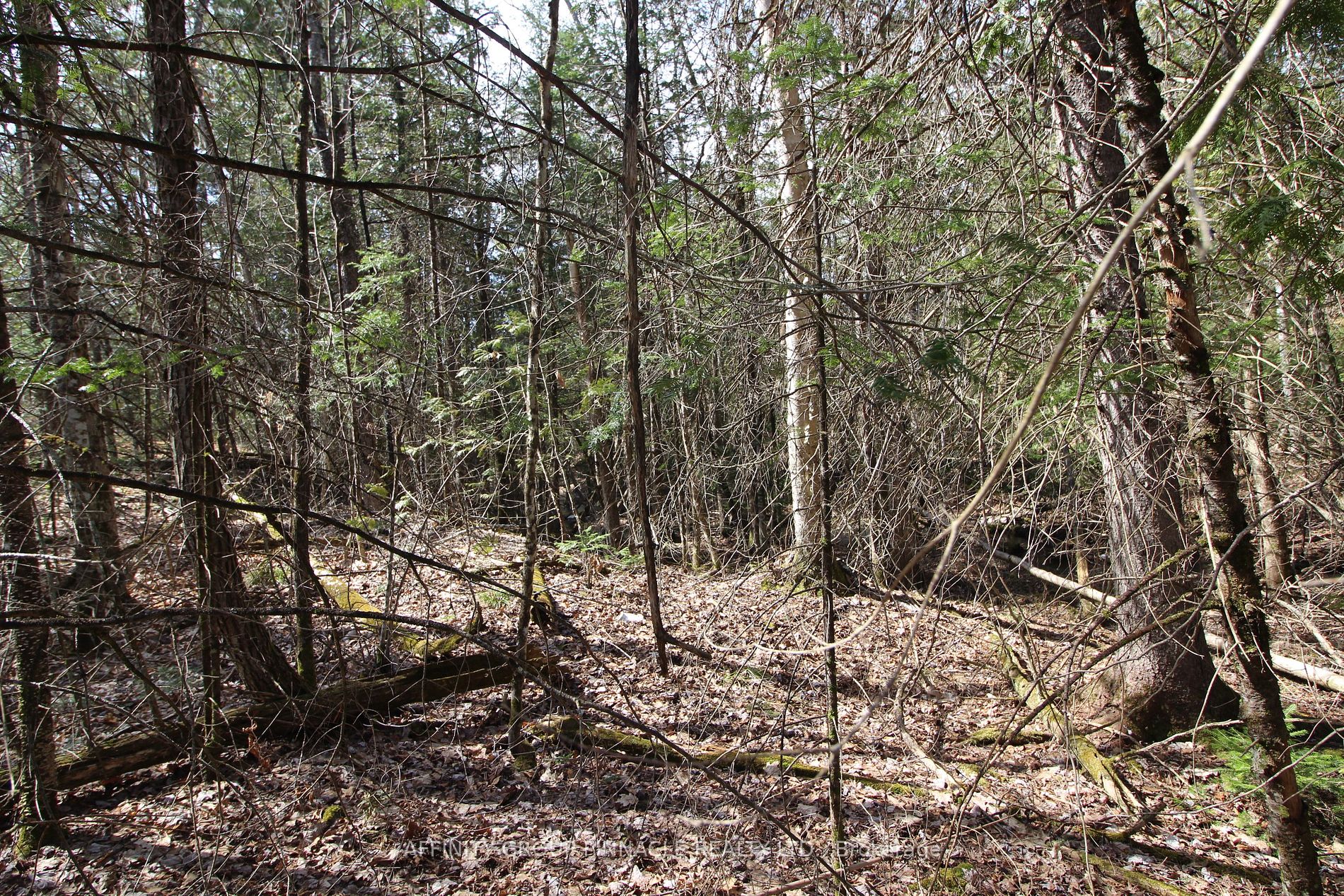 LOT 15 Concession 9