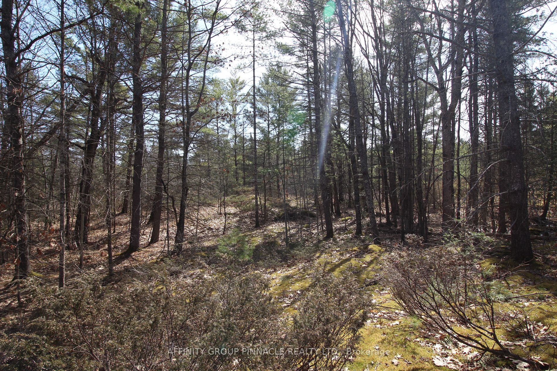 LOT 15 Concession 9