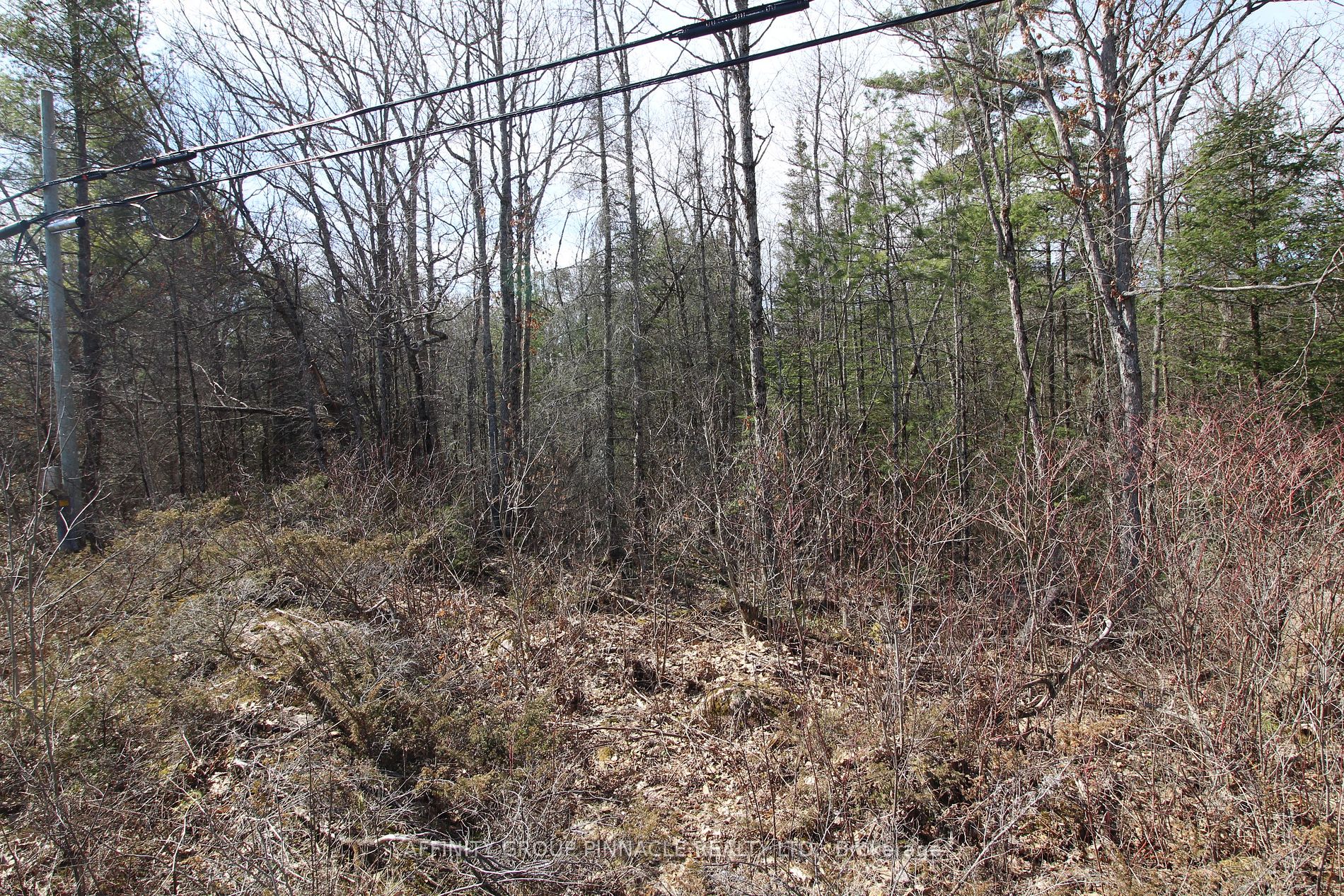 LOT 15 Concession 9