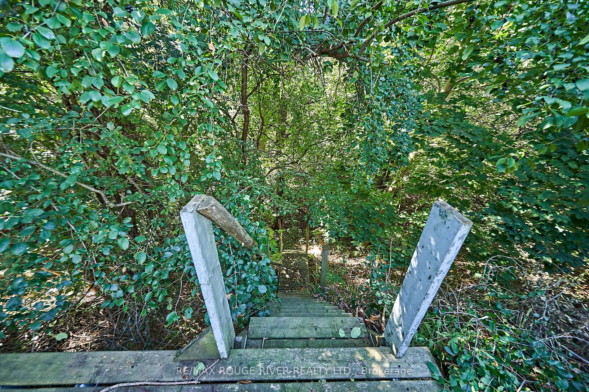 41 Ravine Drive