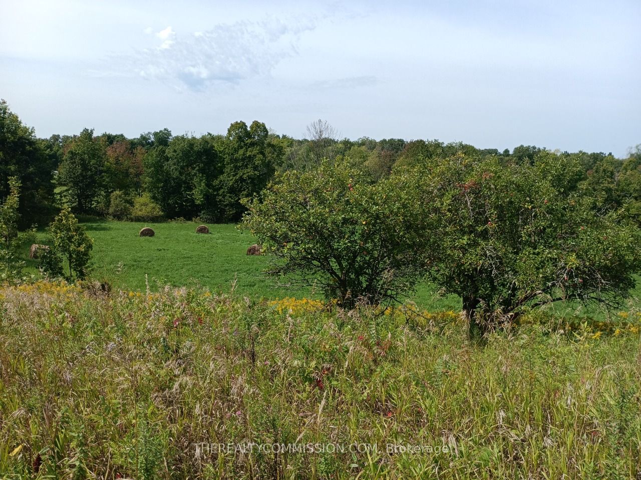 195 Prest Road