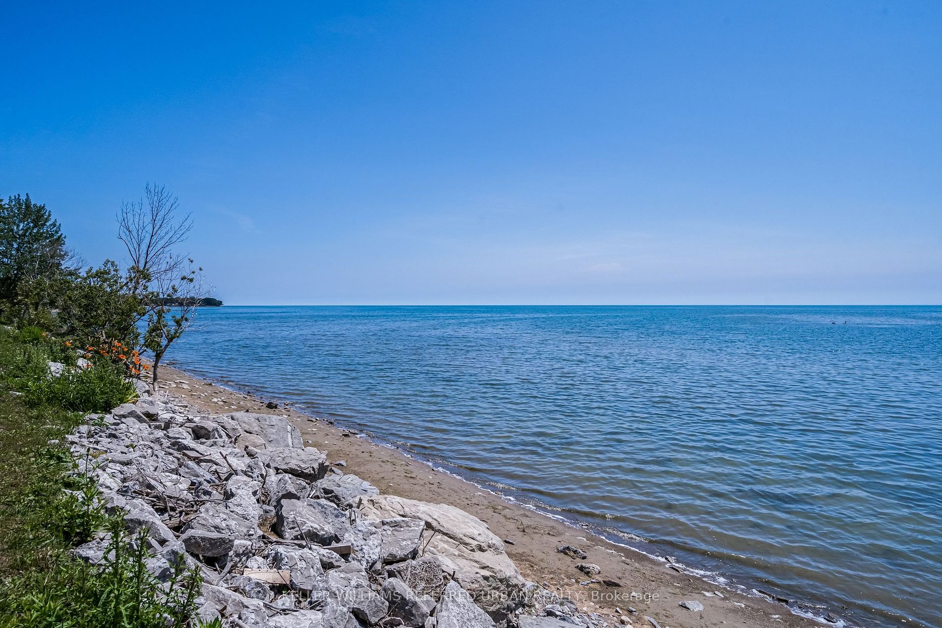 845 Lakeshore Rd