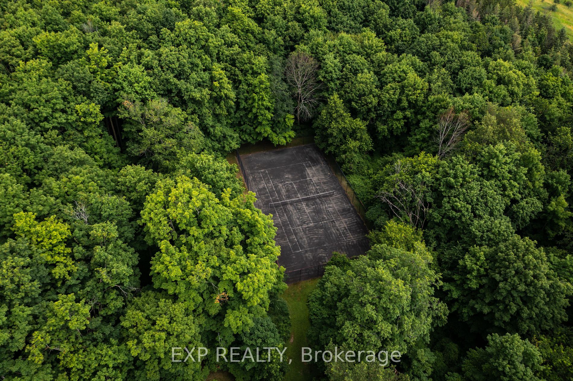 388239 Mono Centre Rd