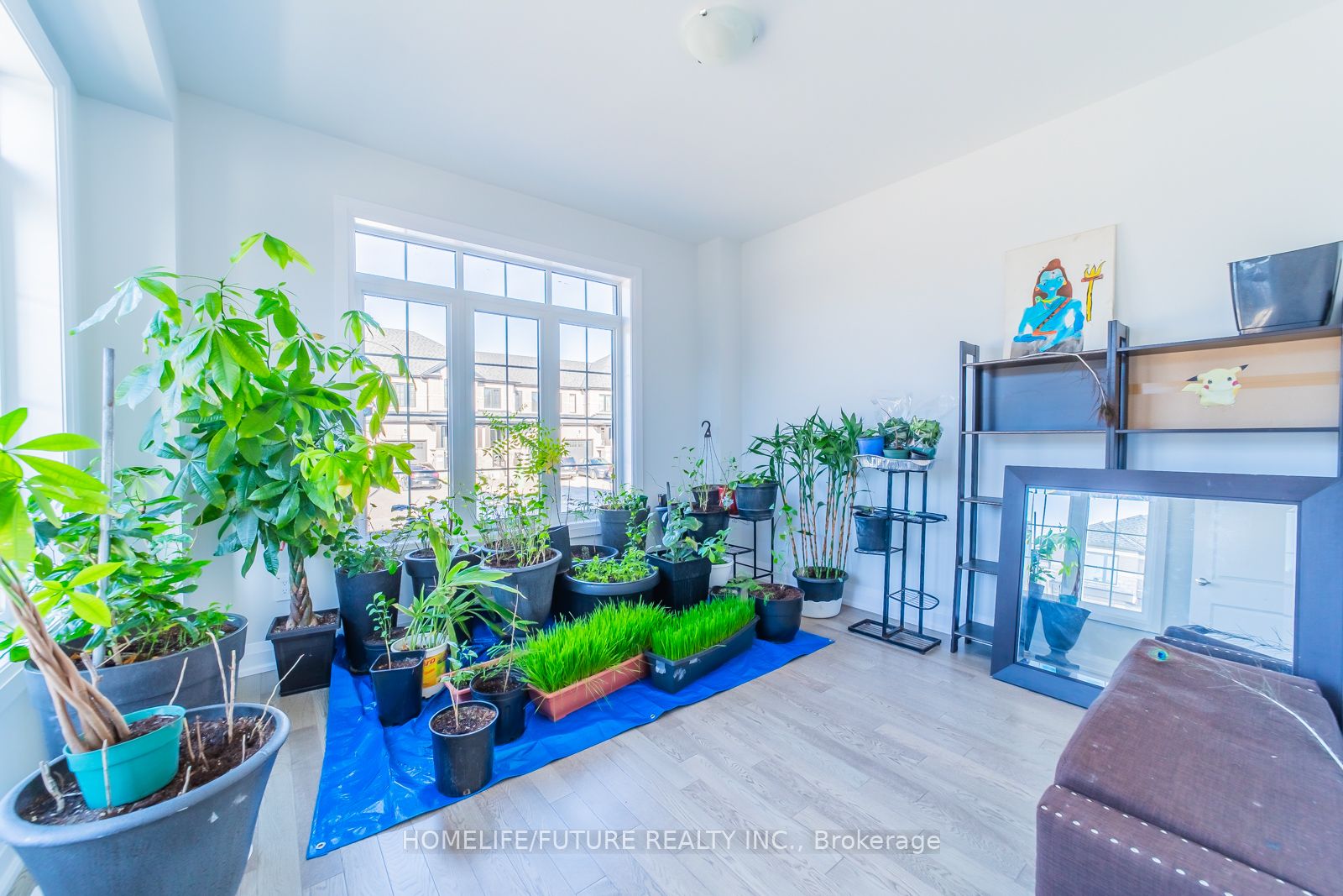 1 Corley Street