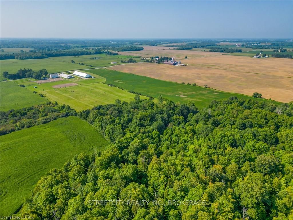 12798 EIGHT MILE Road