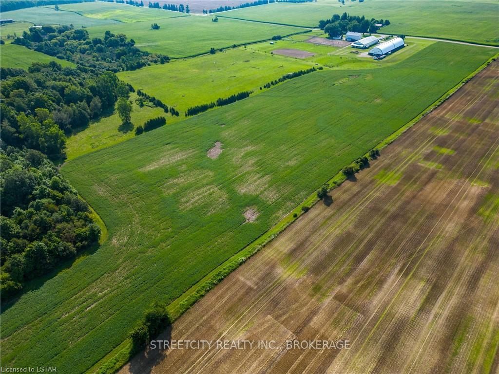 12798 EIGHT MILE Road