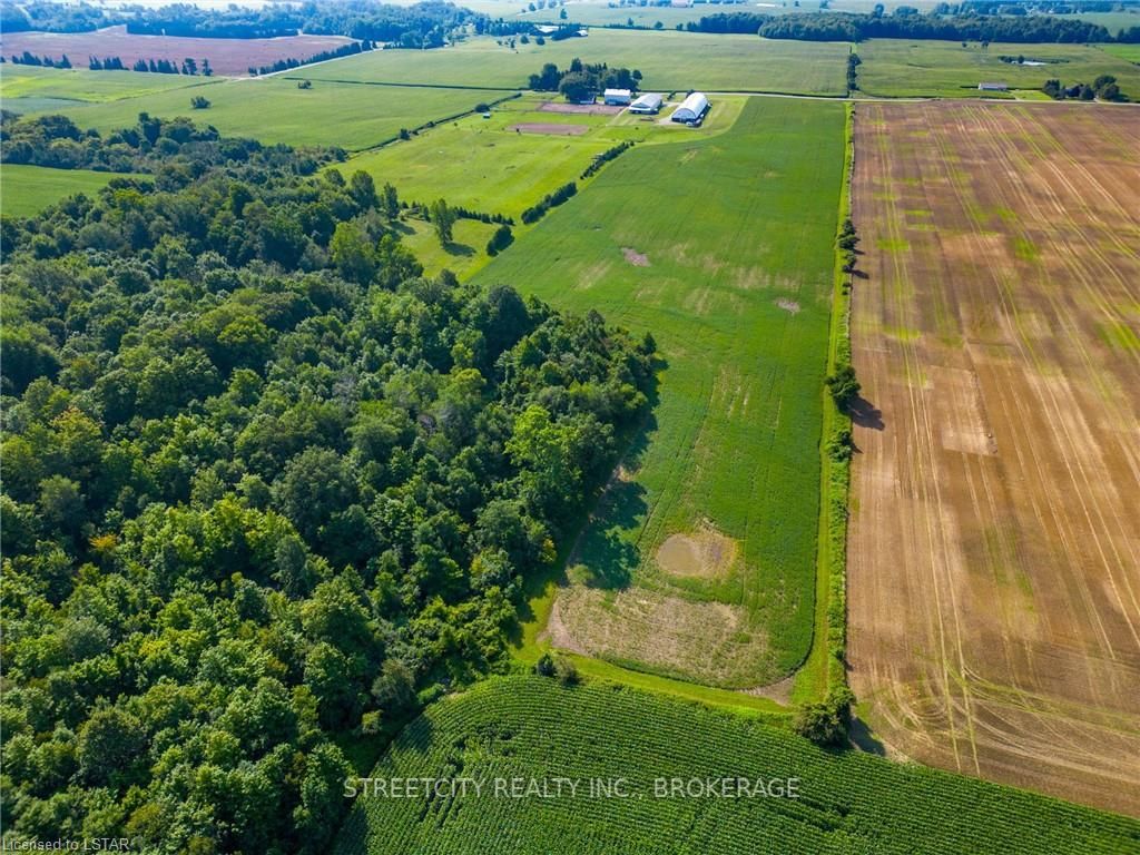 12798 EIGHT MILE Road