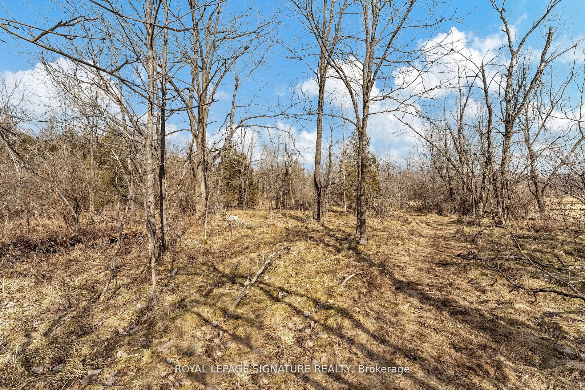1592 Centre Rd