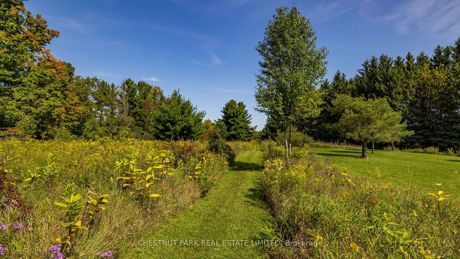 248023 5 Side Road