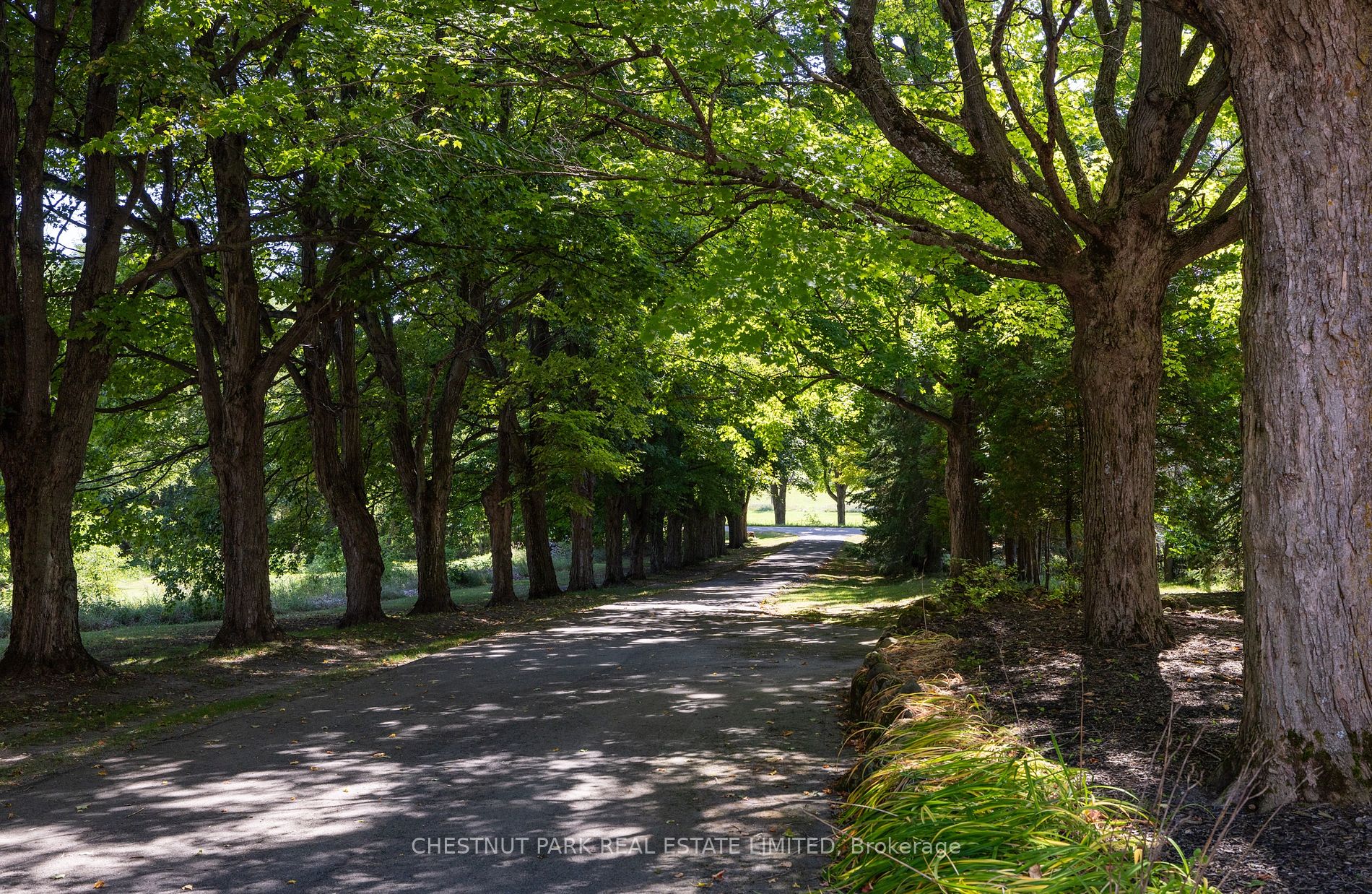 248023 5 Side Road