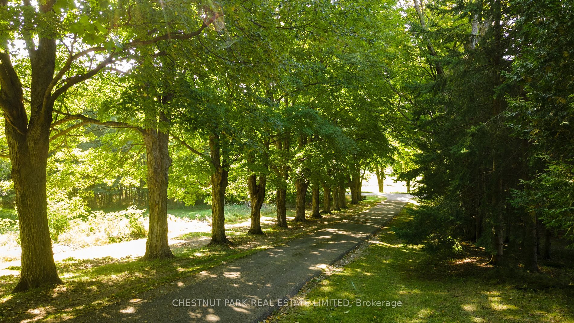 248023 5 Side Road