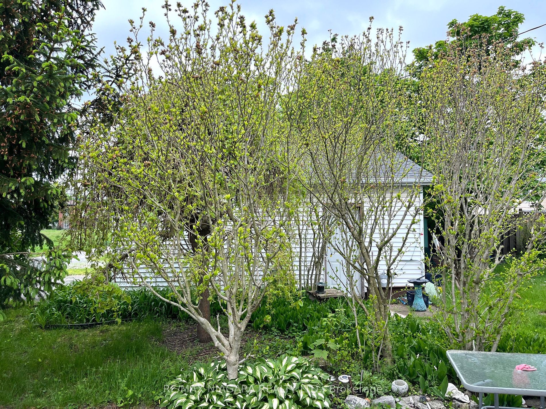 144 Waterloo Street