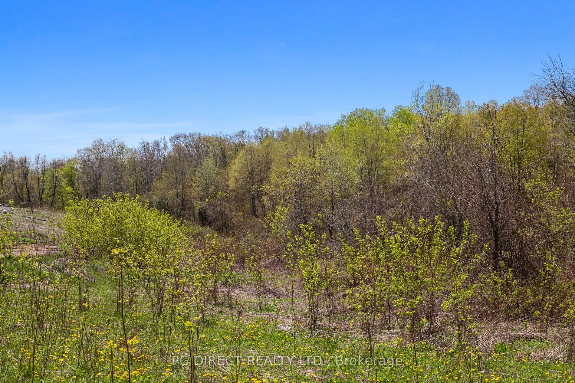 254 Long Reach Road