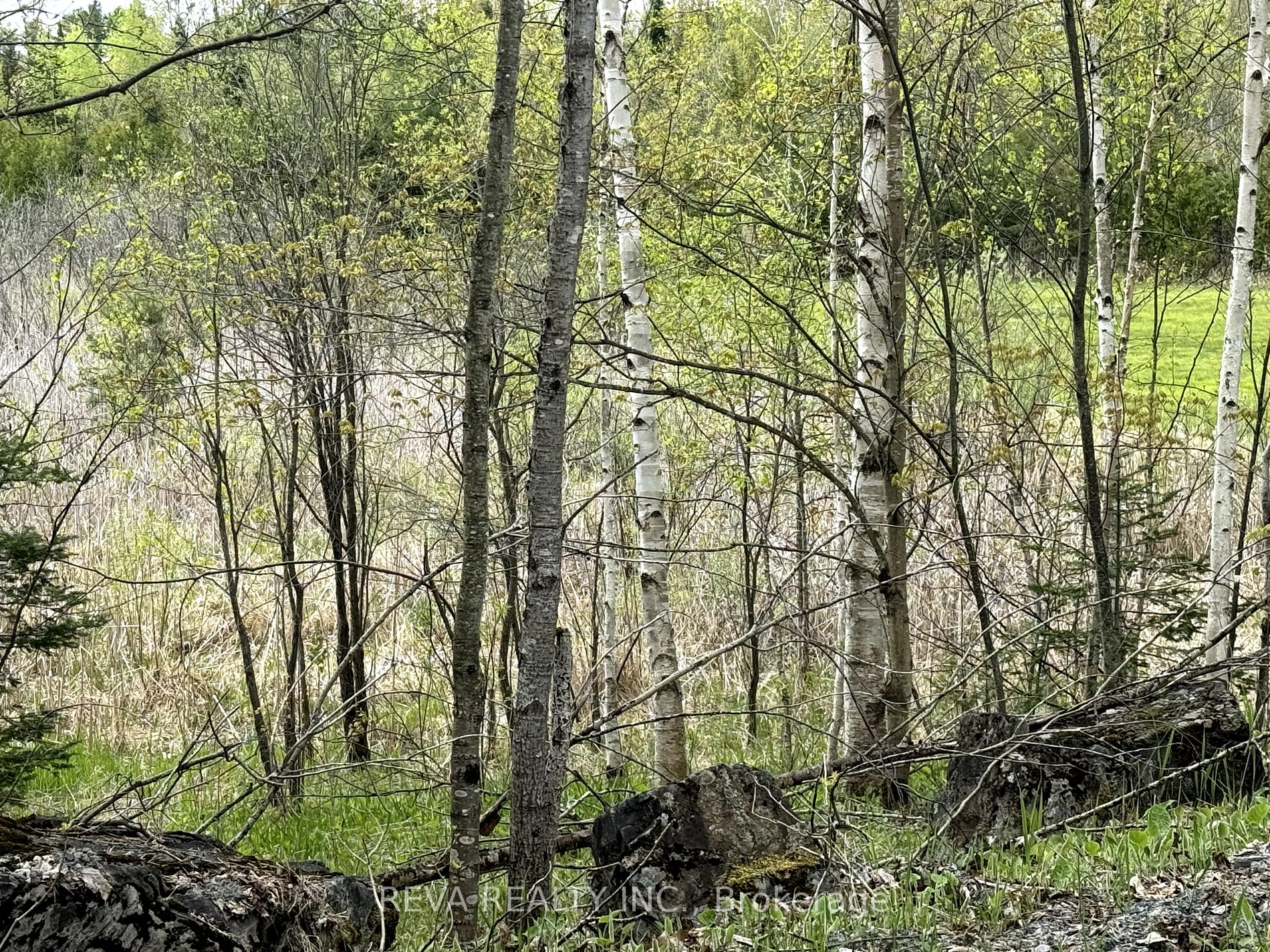 42 Clear Lake Court