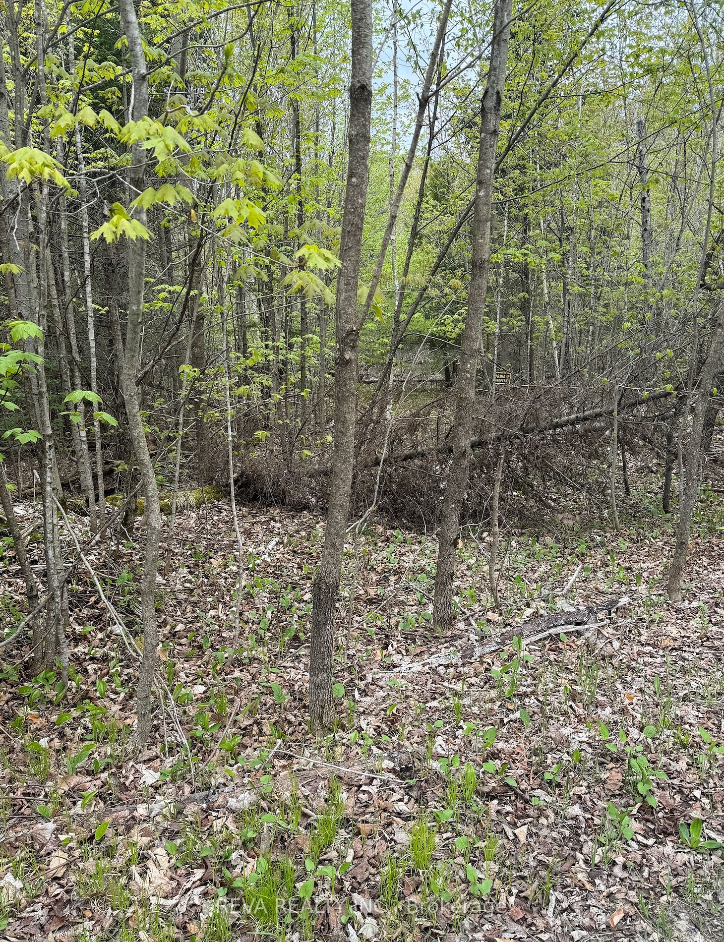 42 Clear Lake Court