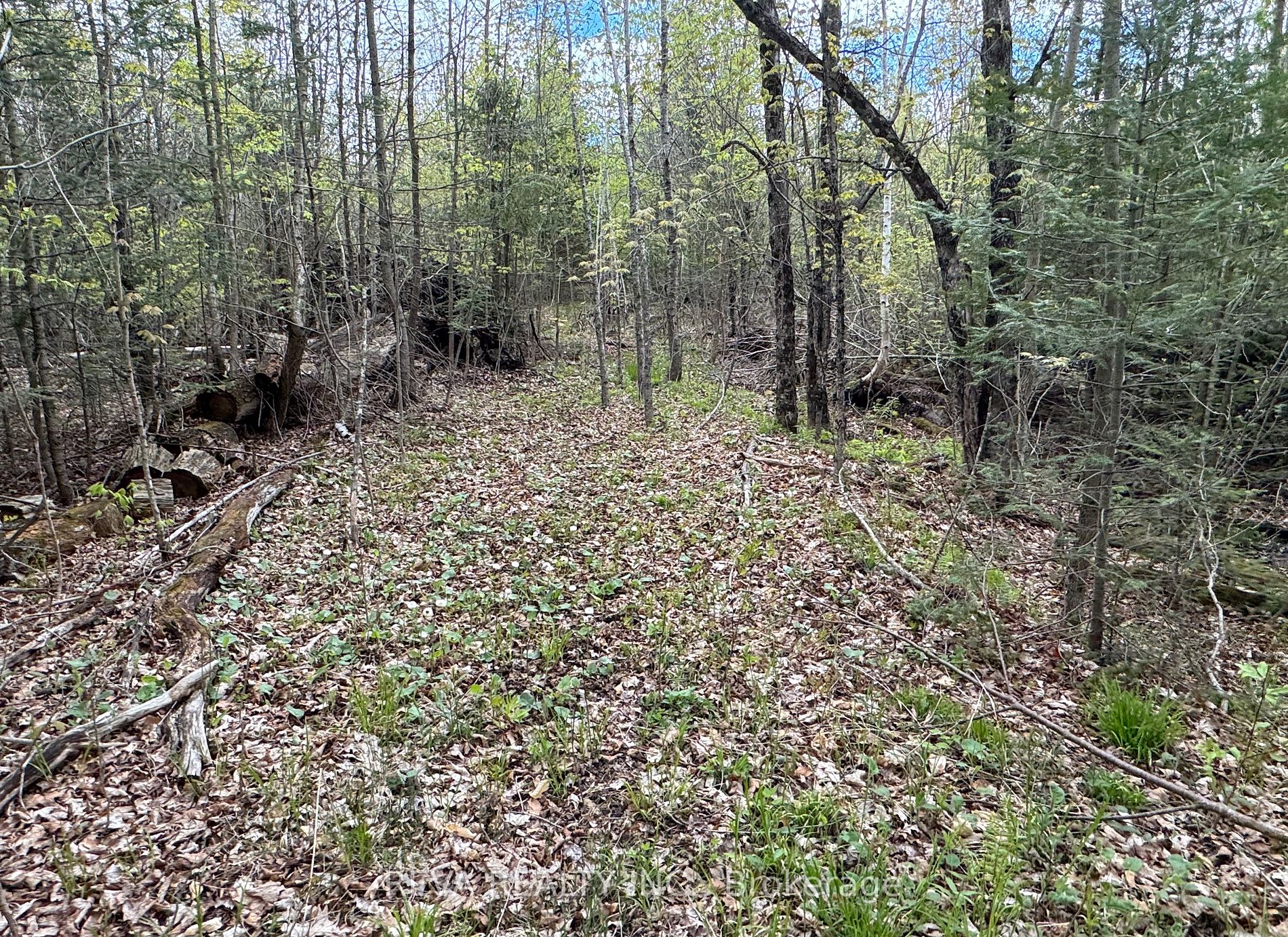 42 Clear Lake Court