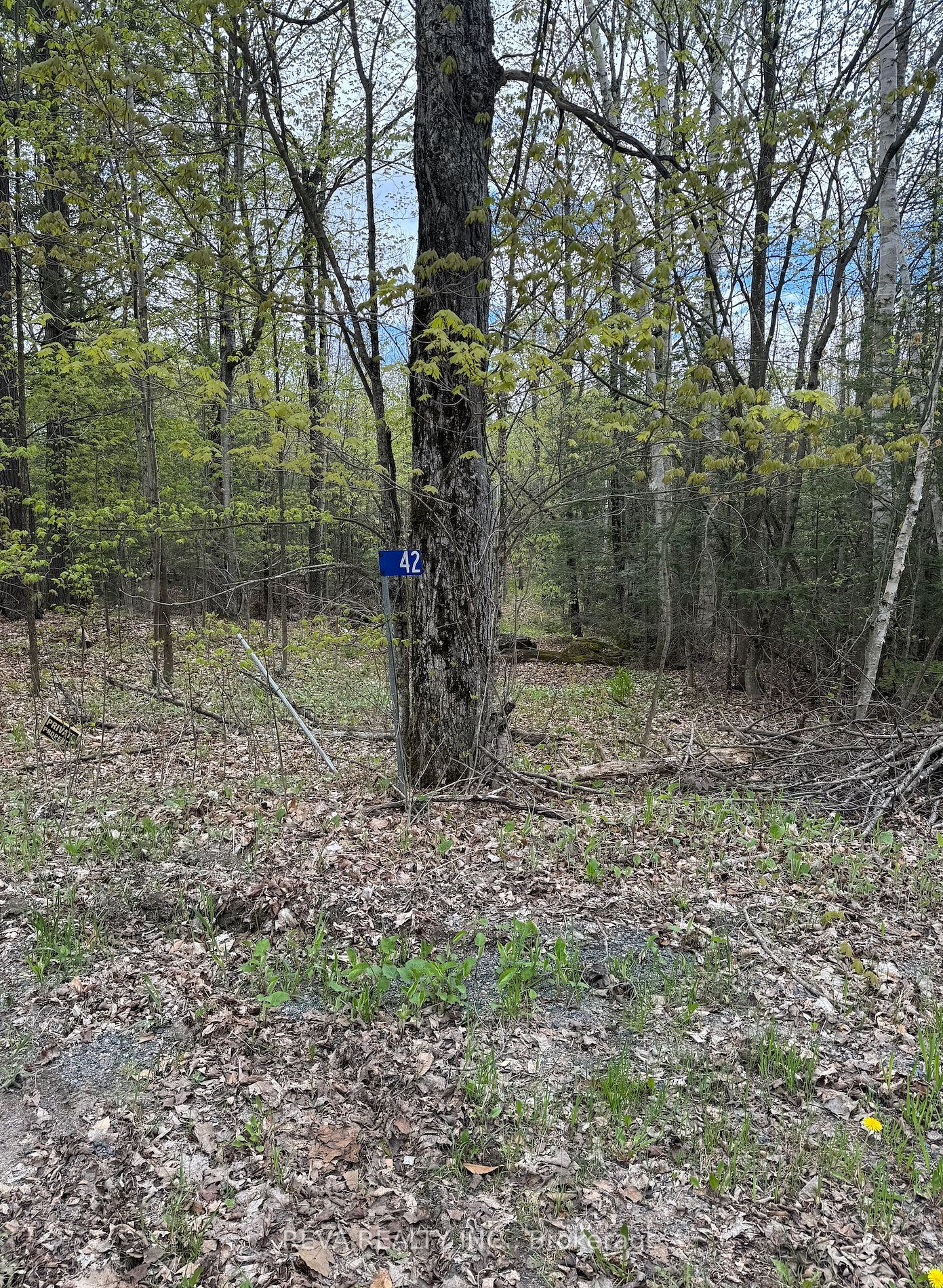 42 Clear Lake Court