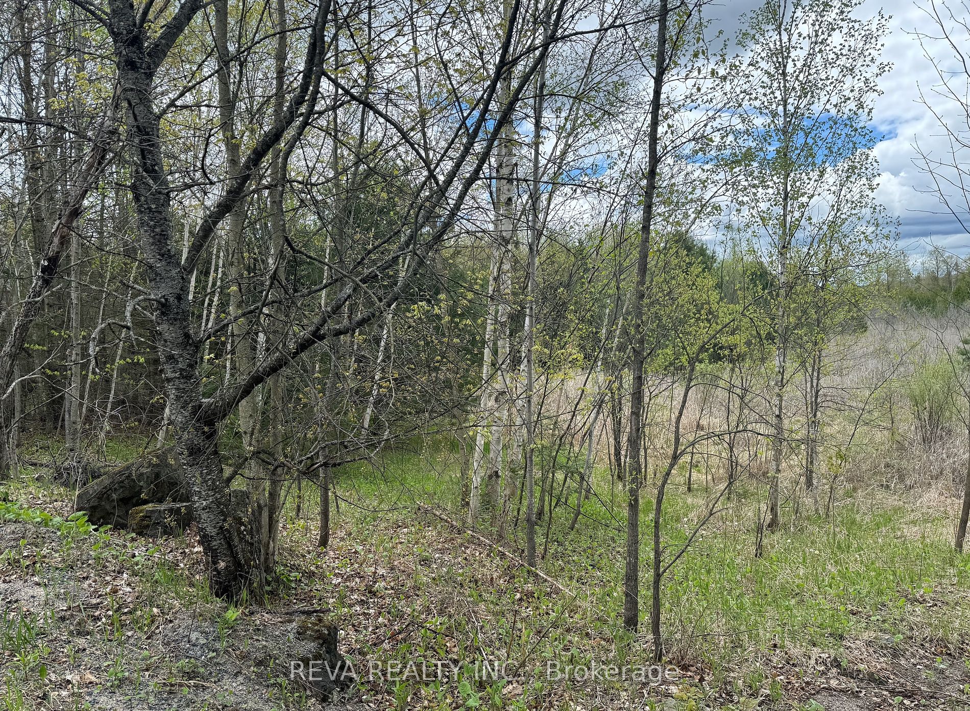 42 Clear Lake Court