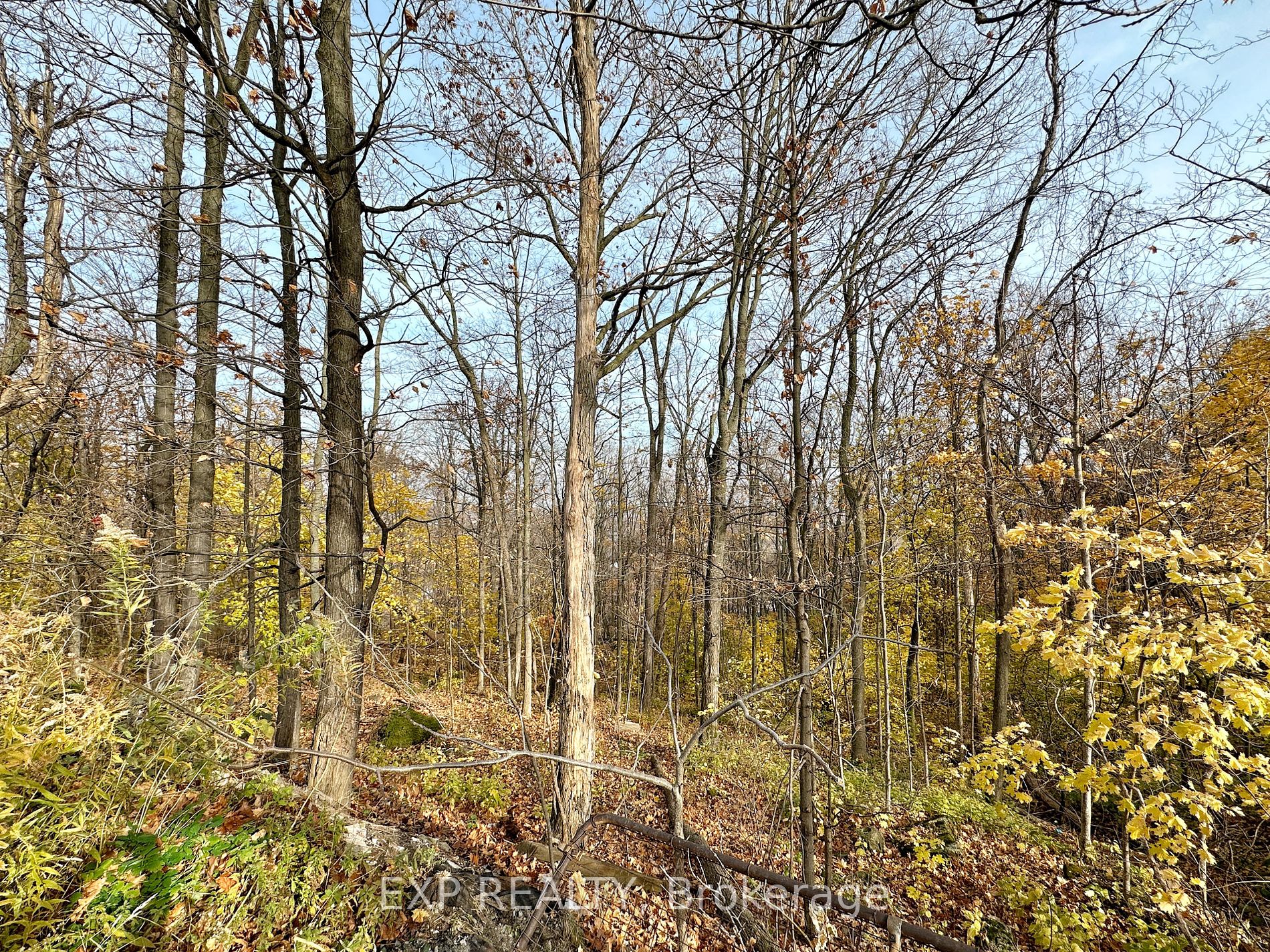 49 Ridge Rd E
