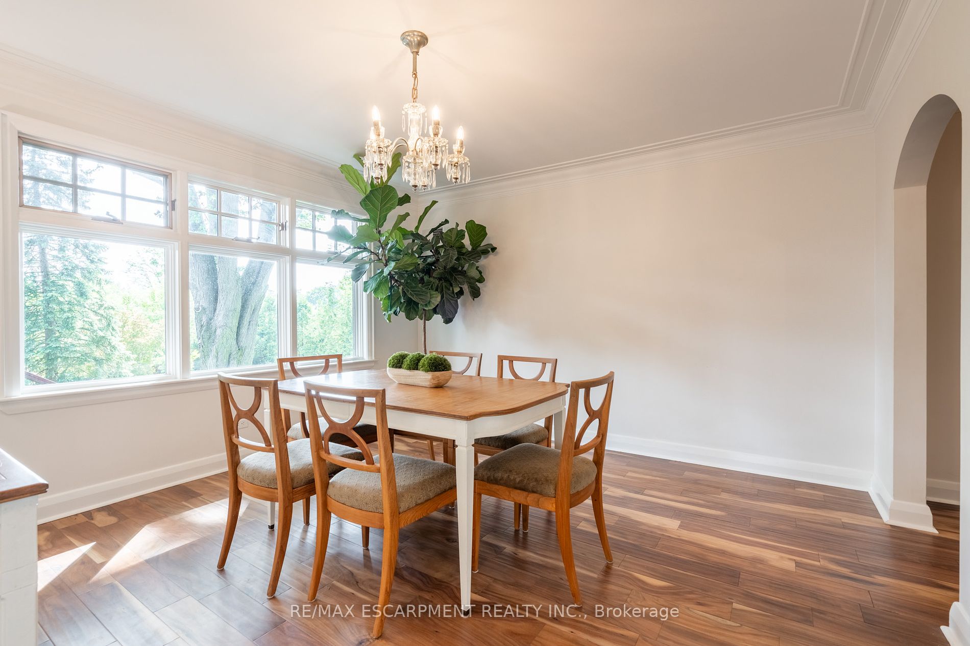 20 Woodward Avenue
