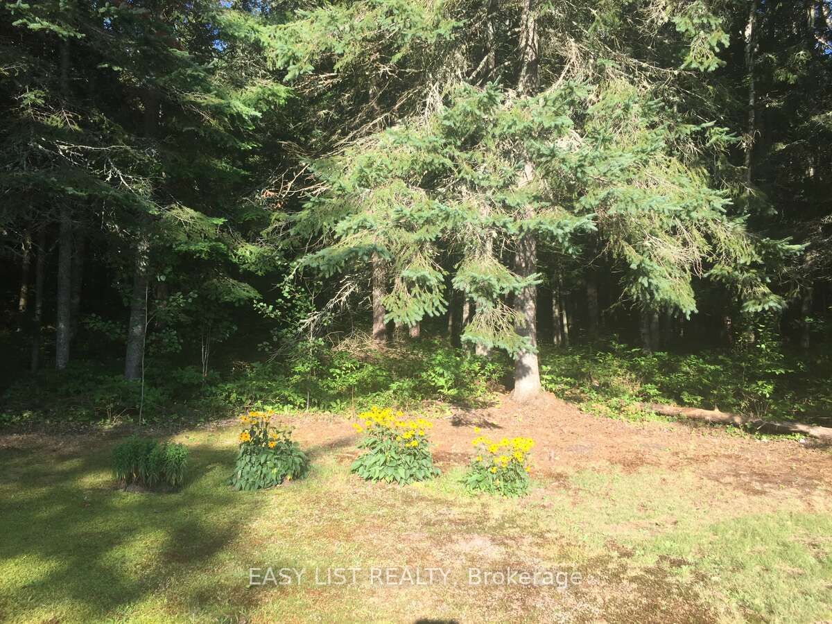 1084 South Algonquin Road