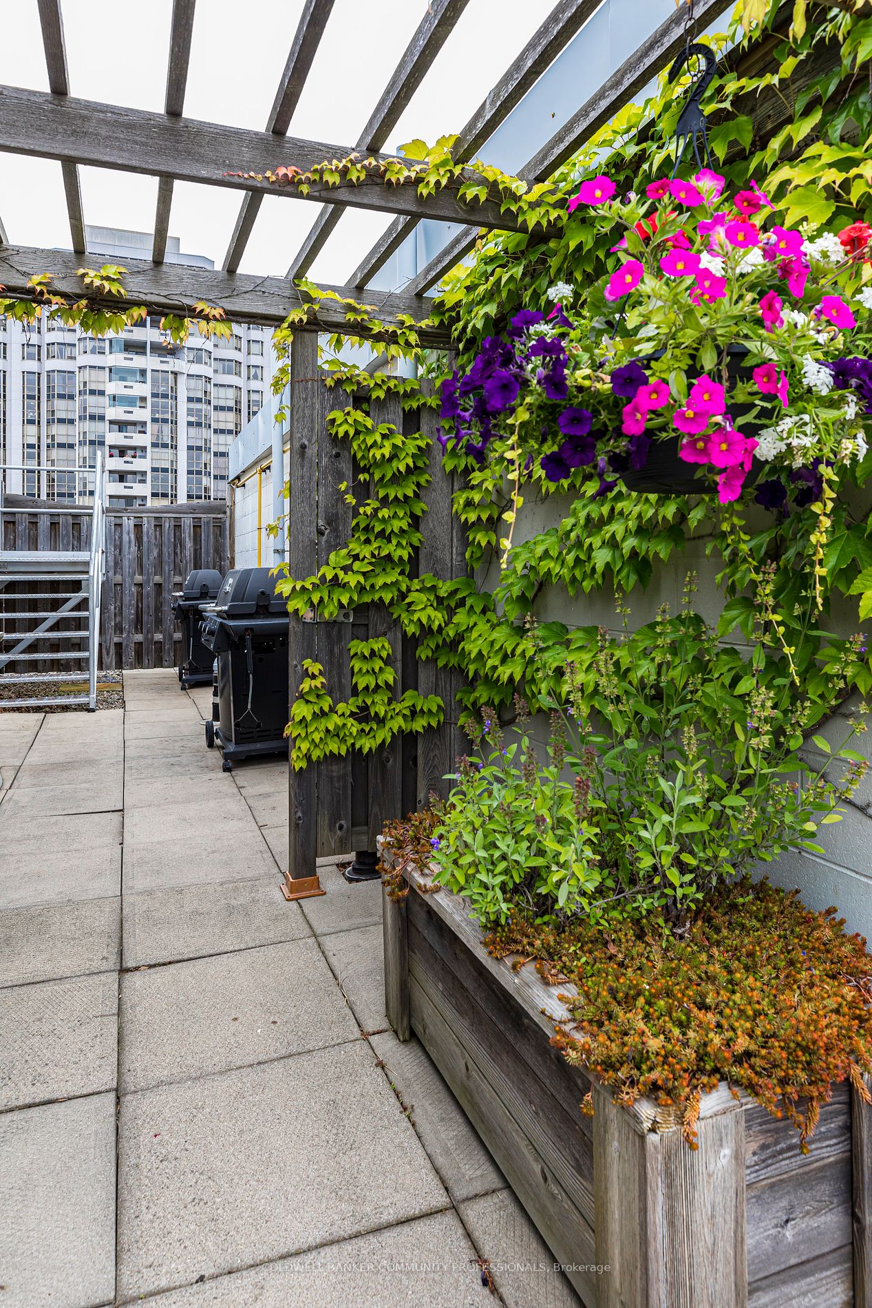 66 Bay Street S #410