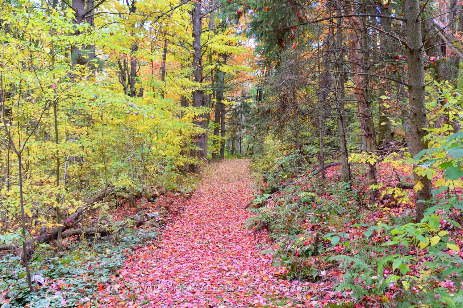 1488 Mineral Springs Road